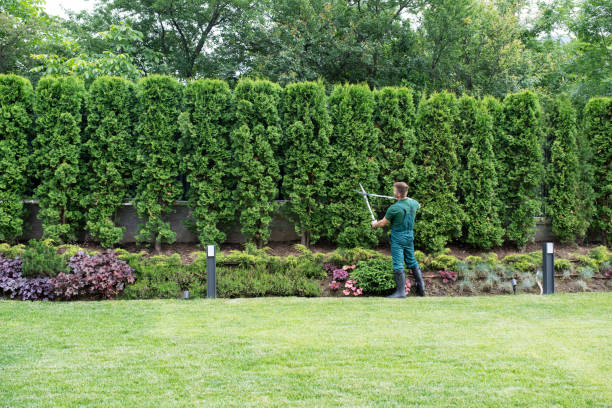 Lawn Maintenance Plans in Walton Hills, OH